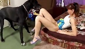 dog sex, sex with animals